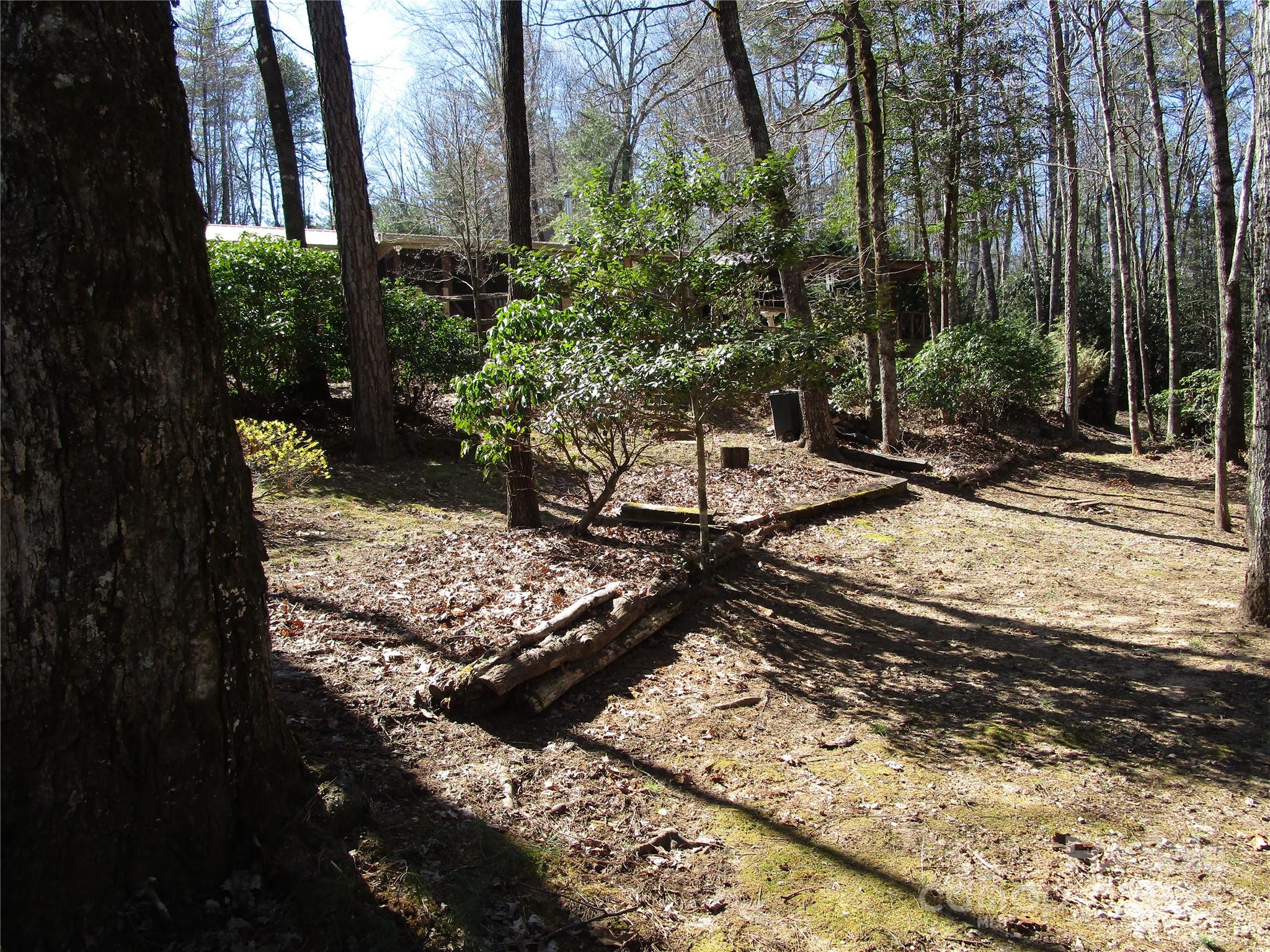 116 Minerva Lane Sapphire, NC 28774 - Photo 38 of 42 a view of a backyard of the house