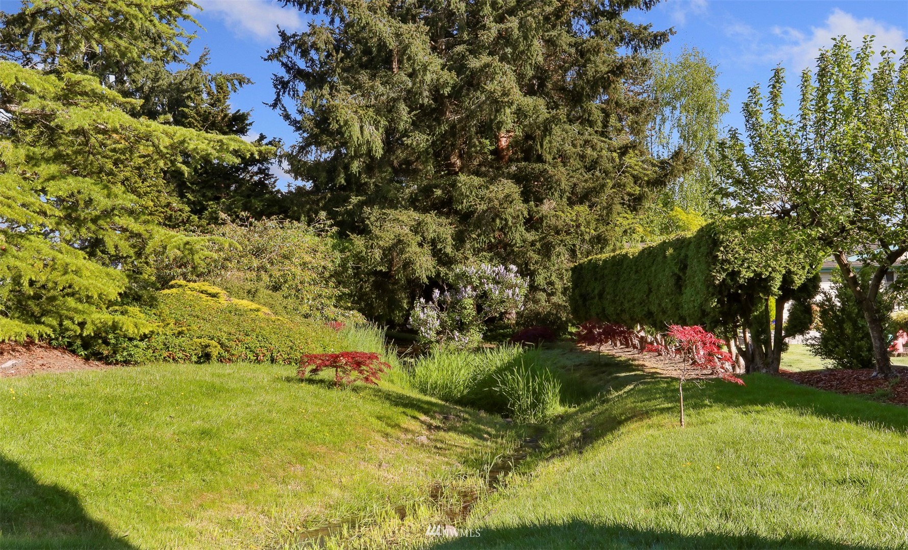 23627 Lake Drive East Bothell, WA 98021 - Photo 27 of 40 a garden with lots of trees