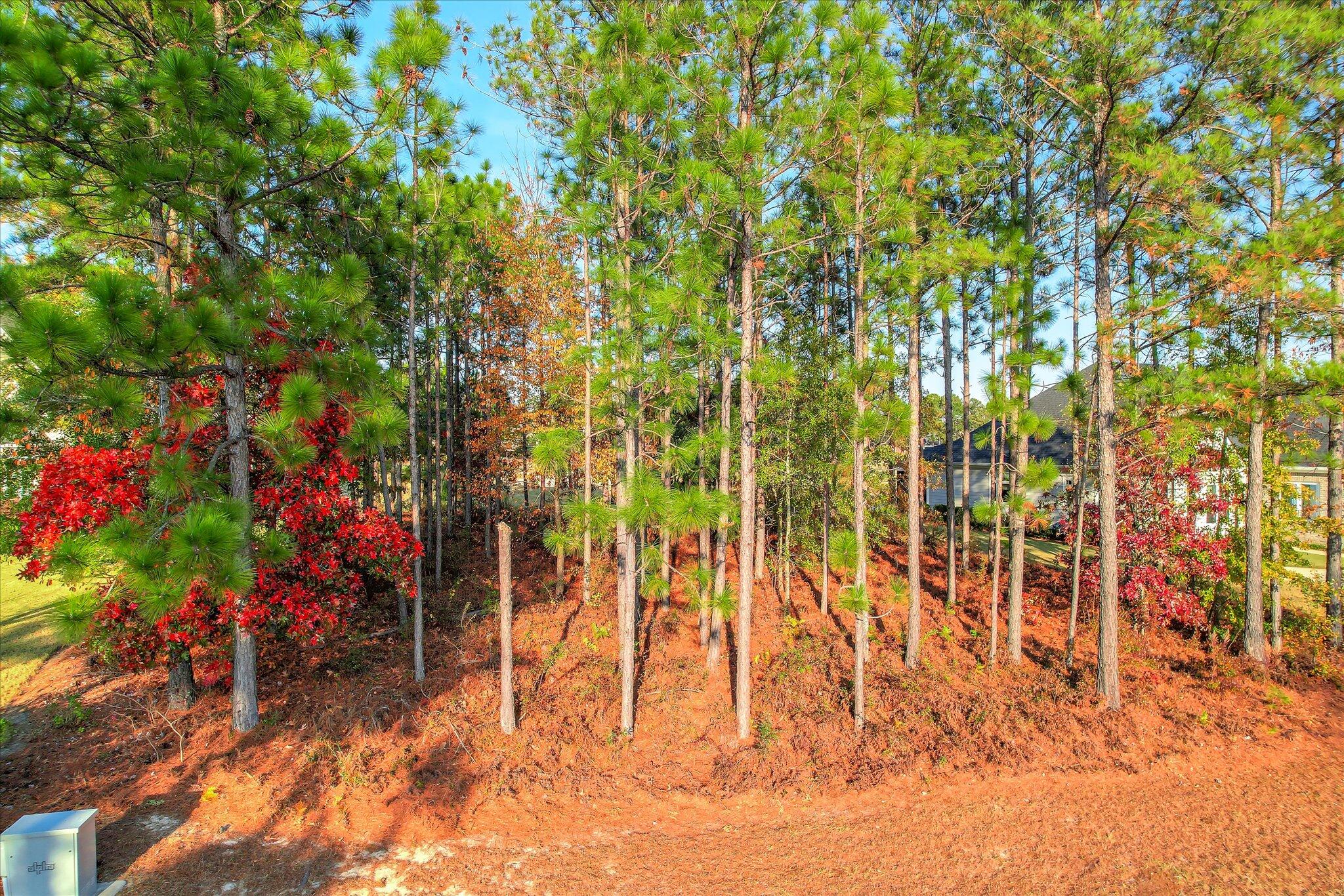 134 Commonwealth Way Aiken, SC 29803 - Photo 18 of 18 18-118