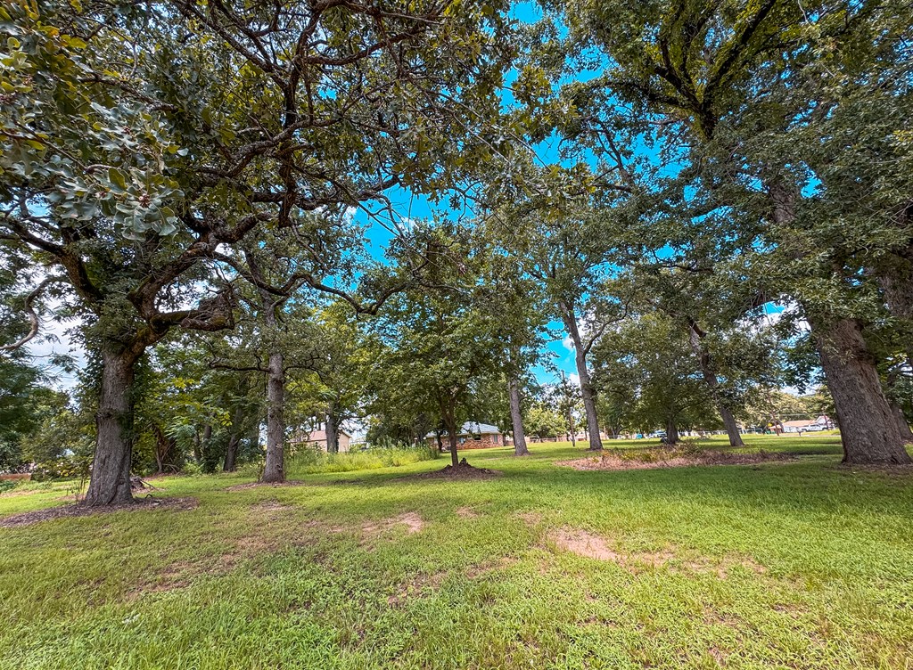 1711 West Point Tap Road Palestine, TX 75803 - Photo 6 of 17