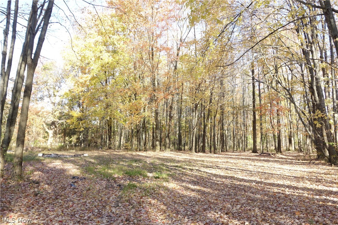 4279 Johnson Road Barberton, OH 44203 - Photo 17 of 35 Gallery Image 17
