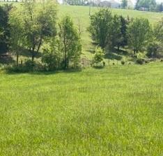 0 Tague Road Bennington, IN 47011 - Photo 2 of 3