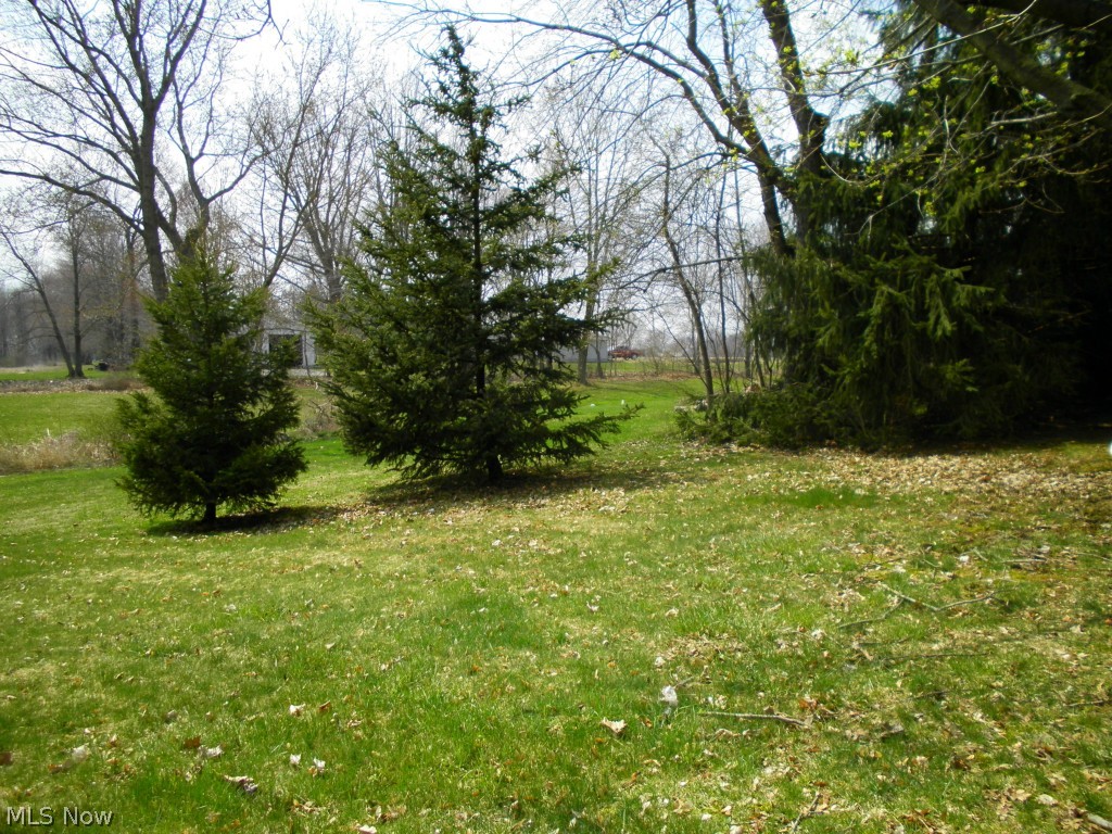 12921 Springfield Road, Unit 4S New Springfield, OH 44443 - Photo 13 of 15
