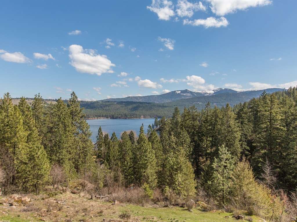 1515 South Garry Road, Unit 4 Liberty Lake, WA 99019 - Photo 2 of 20 Gallery Image 2