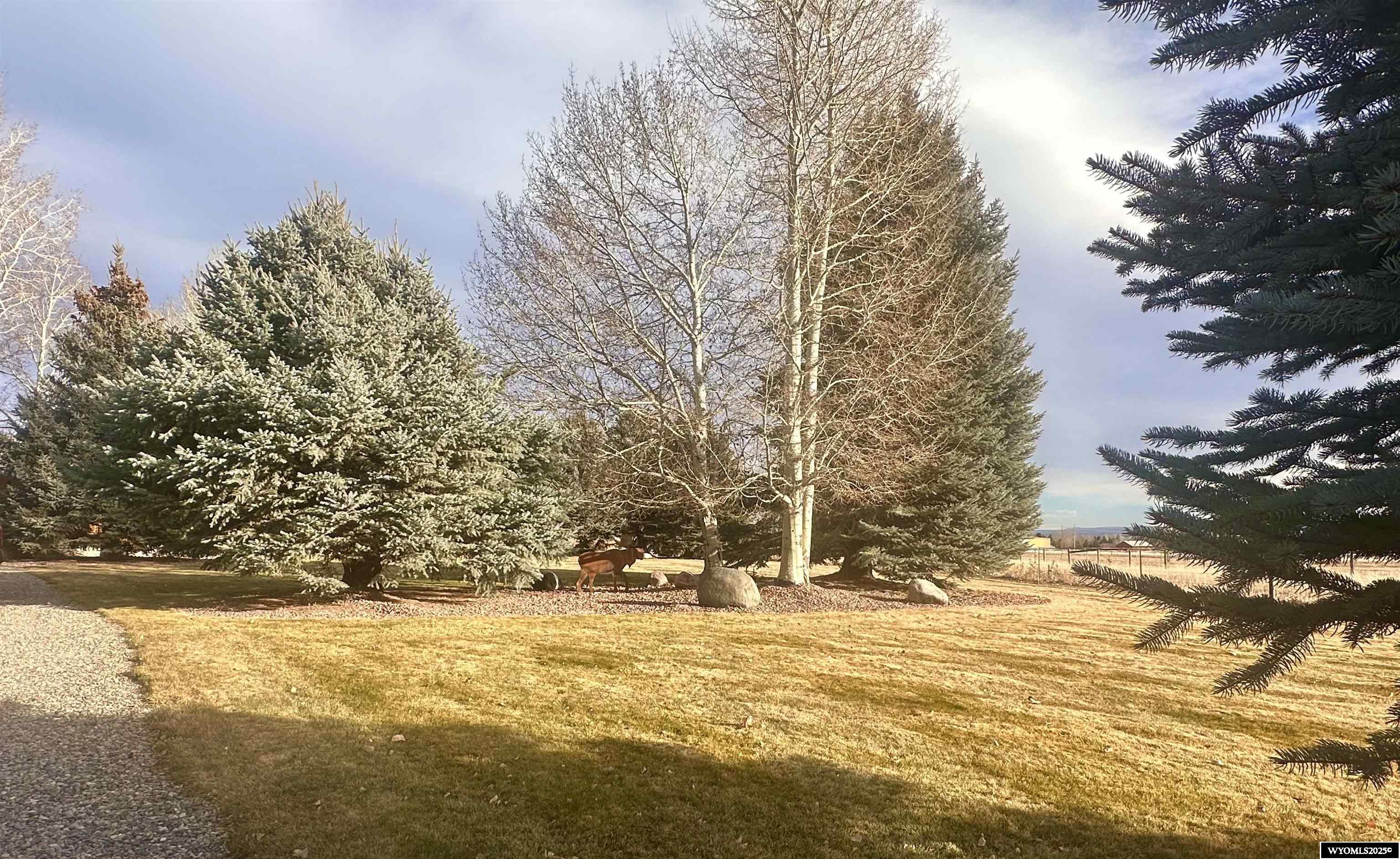 600 Raintree Drive Riverton, WY 82501 - Photo 24 of 44