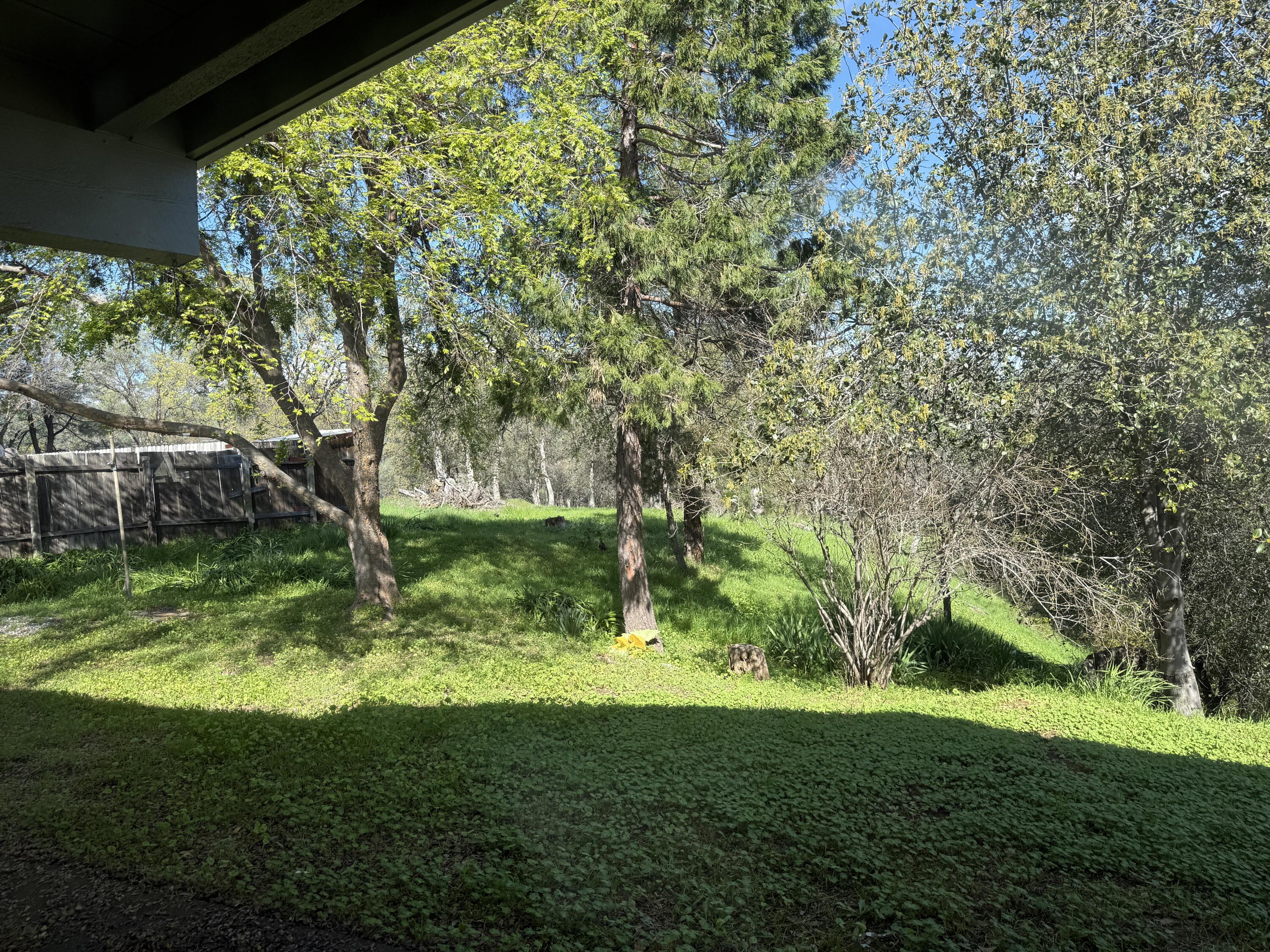 1400 Riviera Drive Redding, CA 96001 - Photo 15 of 15 a view of yard with green space
