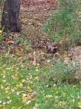 $49,900 | 0 Country Club Road, Grove City, PA 16127