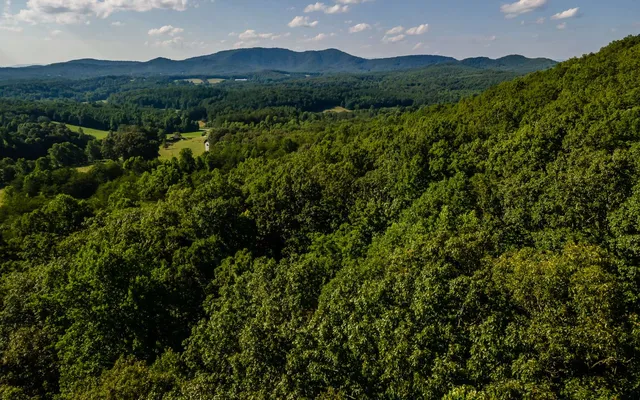 a view of a lush green hillside and a building