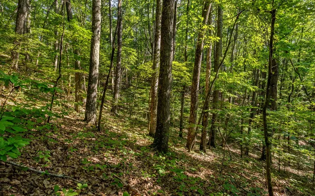 $25,000 | L11 Mattie Lane, Blairsville, GA 30512