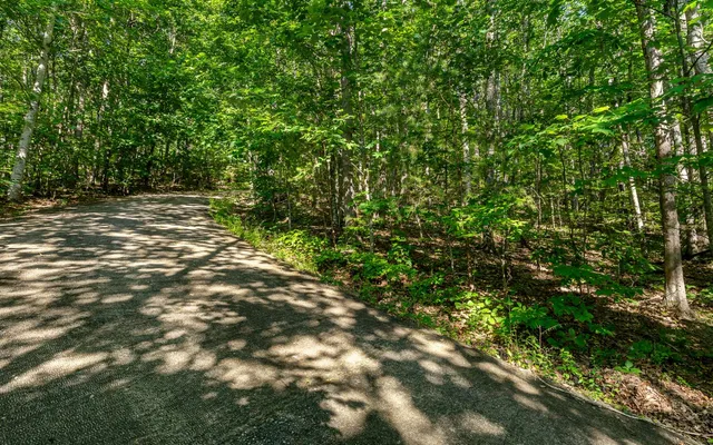 $25,000 | L11 Mattie Lane, Blairsville, GA 30512