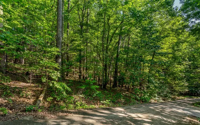 $25,000 | L11 Mattie Lane, Blairsville, GA 30512