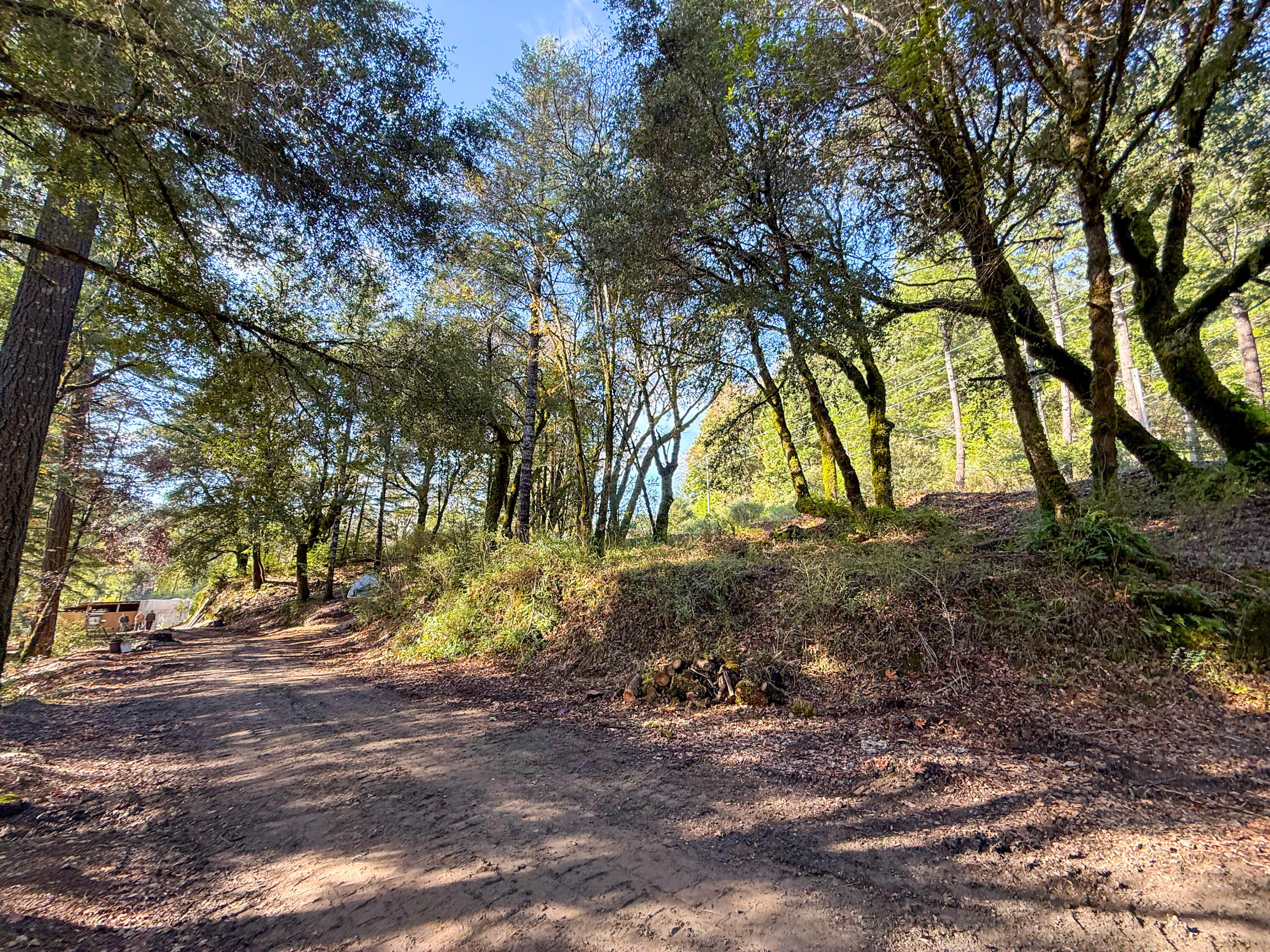 5200 Briceland Road Redway, CA 95560 - Photo 11 of 31