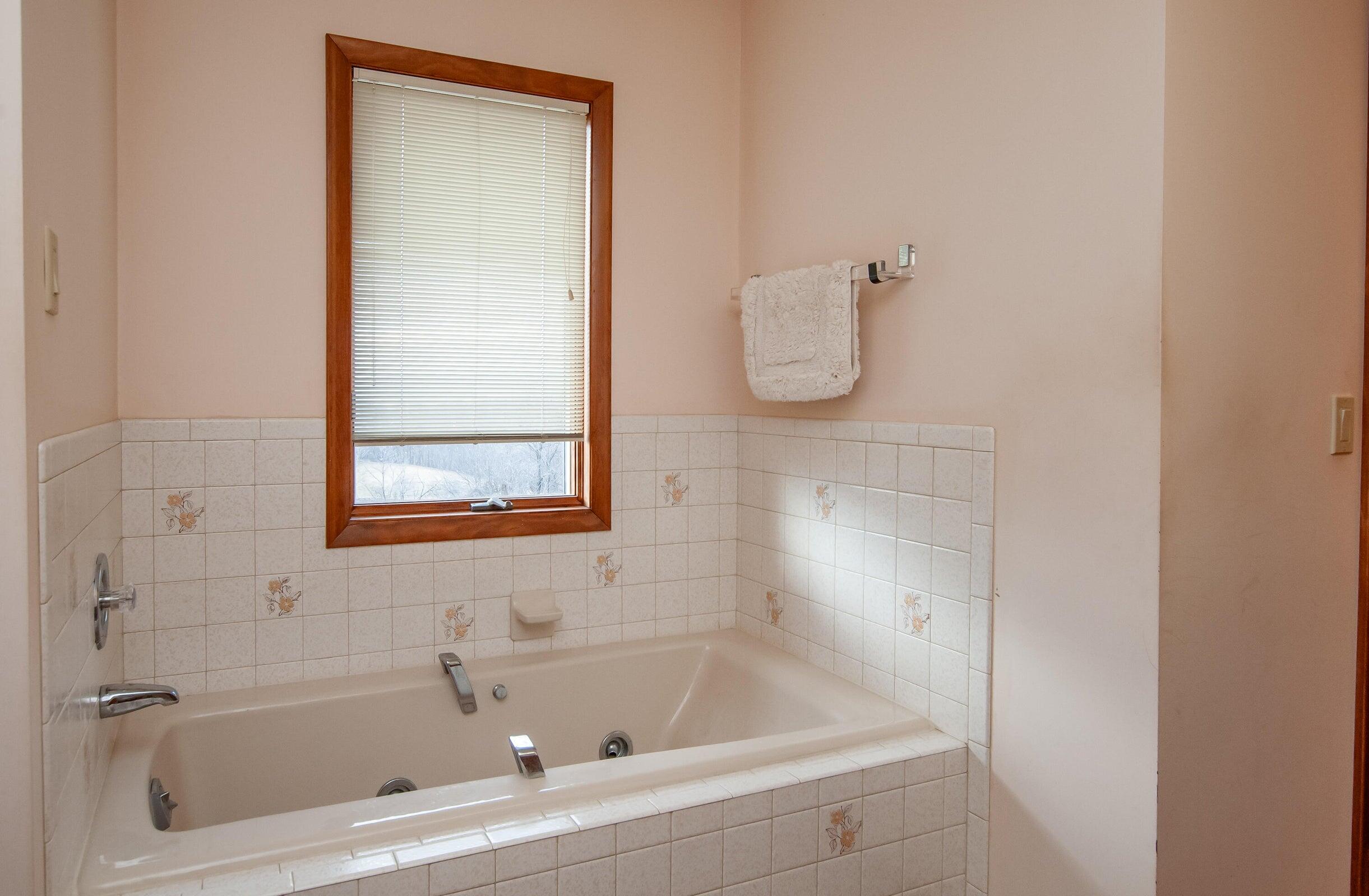 106 Merrick Lane Raphine, VA 24472 - Photo 24 of 46 a bathroom with a bathtub