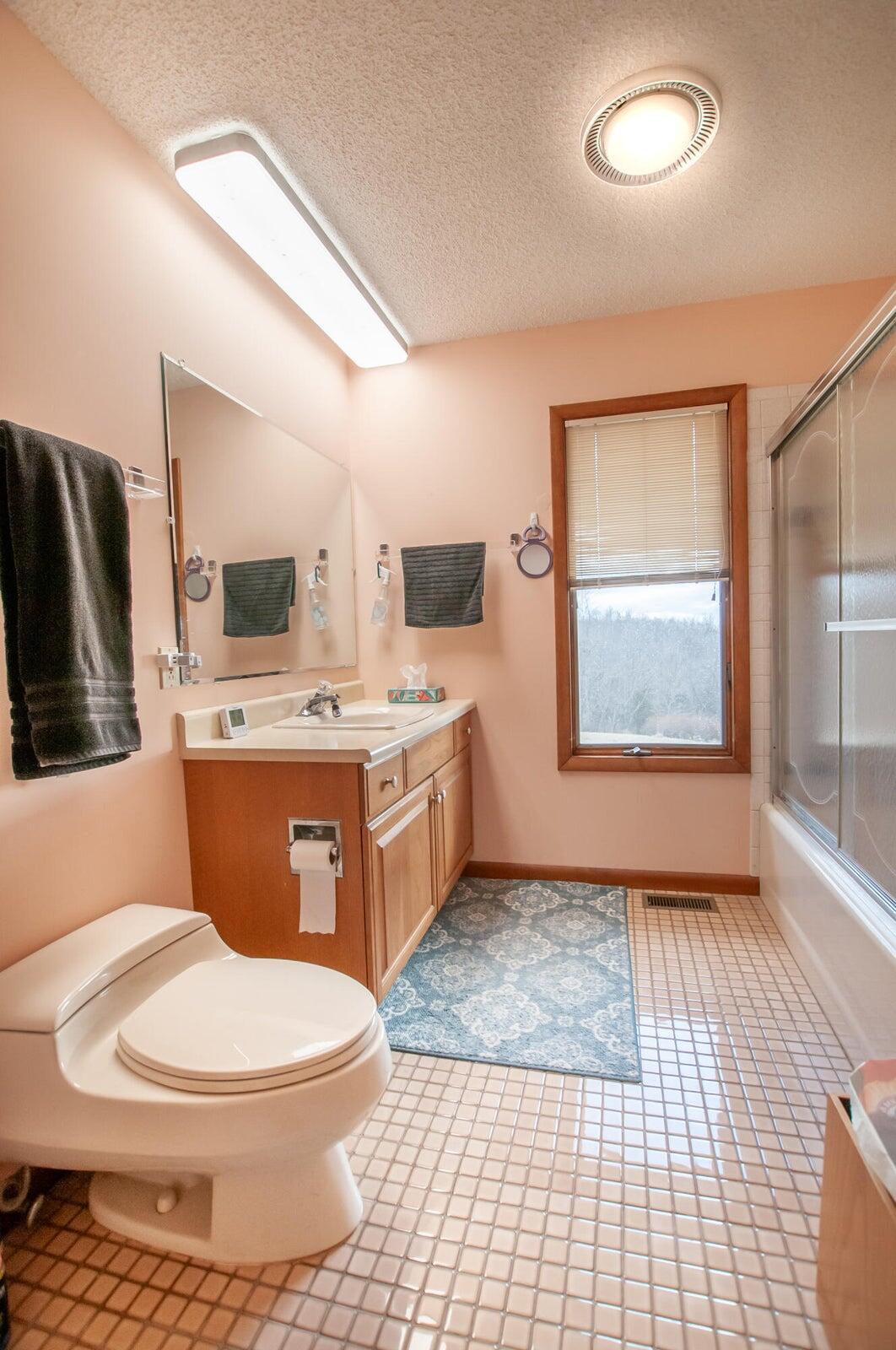 106 Merrick Lane Raphine, VA 24472 - Photo 27 of 46 a bathroom with a toilet a sink a mirror and window
