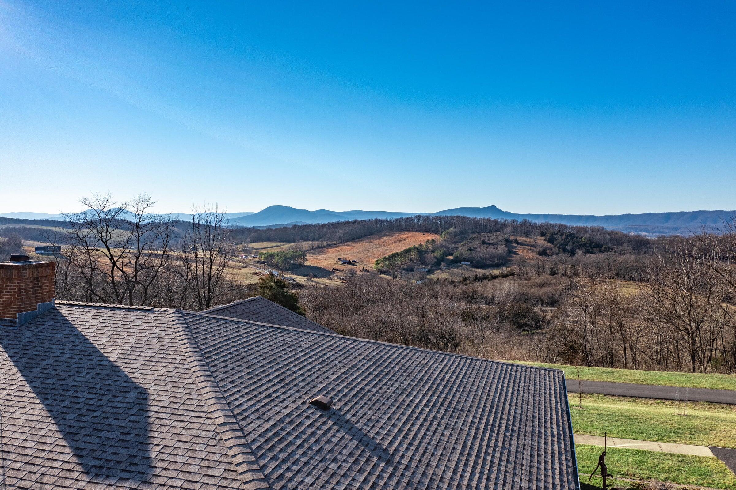 106 Merrick Lane Raphine, VA 24472 - Photo 3 of 46 a view of balcony with city view