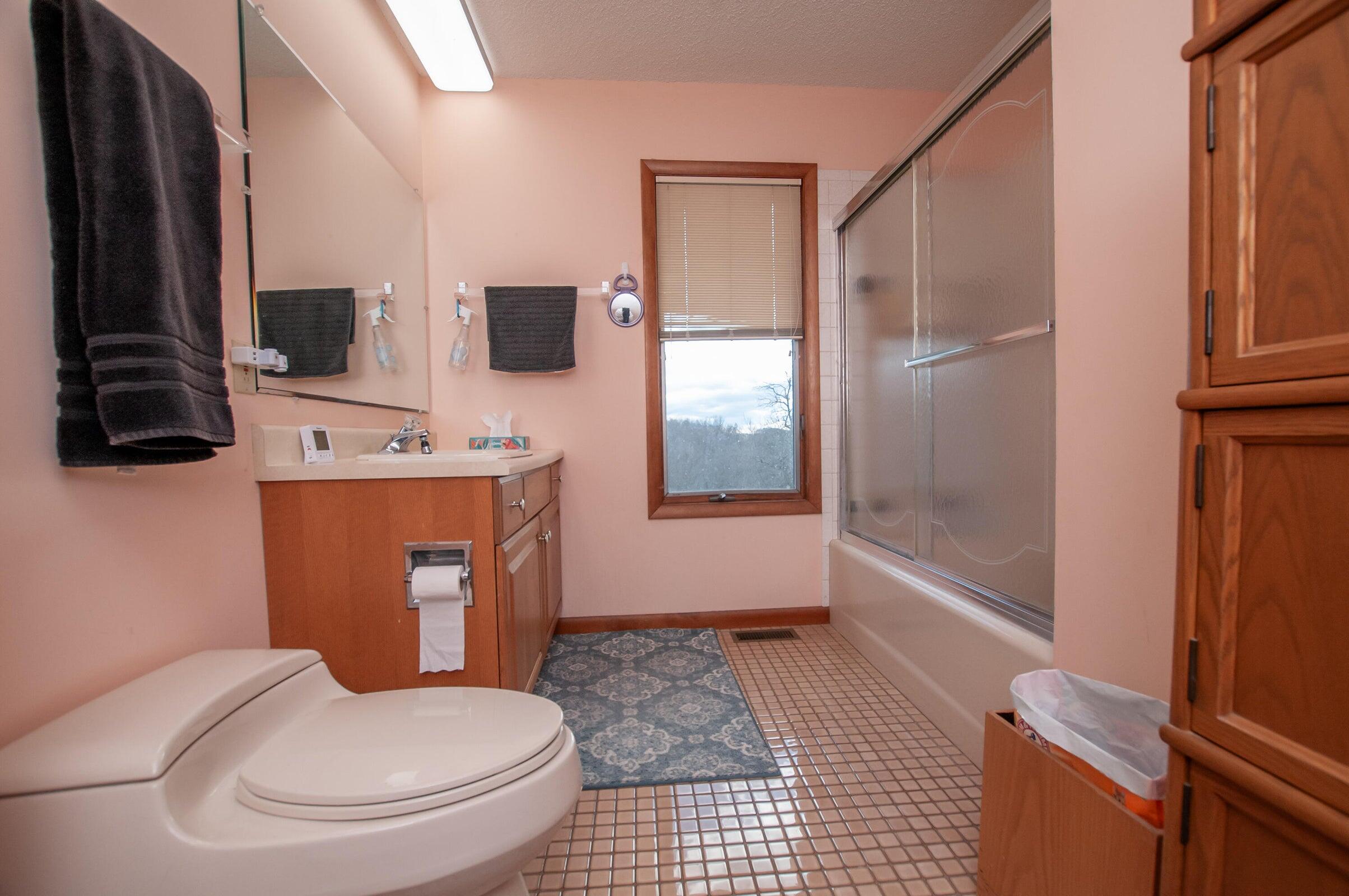 106 Merrick Lane Raphine, VA 24472 - Photo 45 of 46 a bathroom with a sink a toilet and shower
