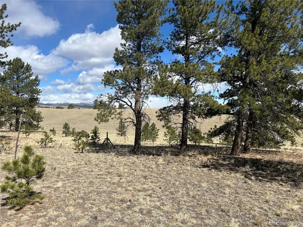 $49,500 | 517 Brahma Circle, Hartsel, CO 80449