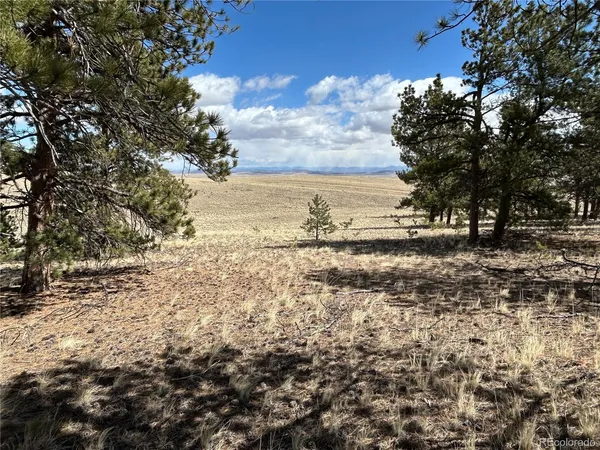 $49,500 | 517 Brahma Circle, Hartsel, CO 80449