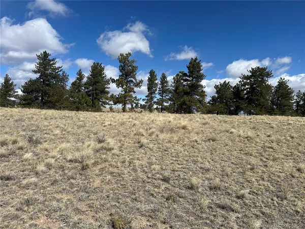 $49,500 | 517 Brahma Circle, Hartsel, CO 80449