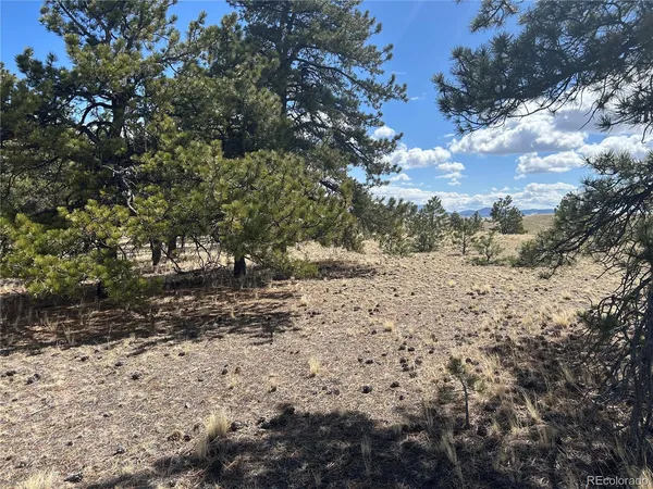 $49,500 | 517 Brahma Circle, Hartsel, CO 80449