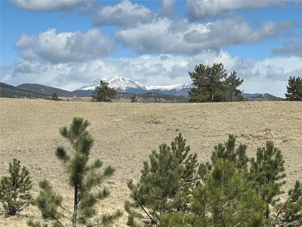 $49,500 | 517 Brahma Circle, Hartsel, CO 80449