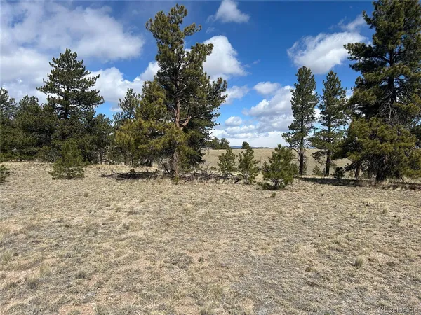 $49,500 | 517 Brahma Circle, Hartsel, CO 80449