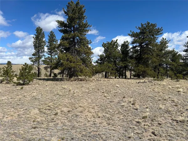 $49,500 | 517 Brahma Circle, Hartsel, CO 80449
