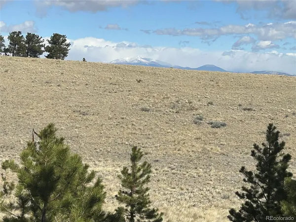$49,500 | 517 Brahma Circle, Hartsel, CO 80449