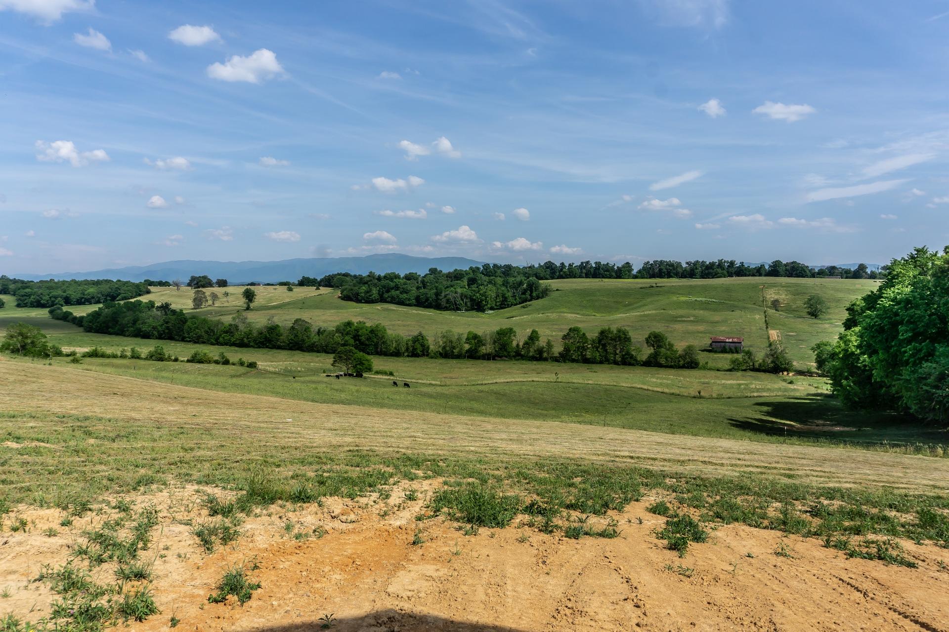 0 Gibson Road Greeneville, TN 37743 - Photo 33 of 41 GibsonRdG_021