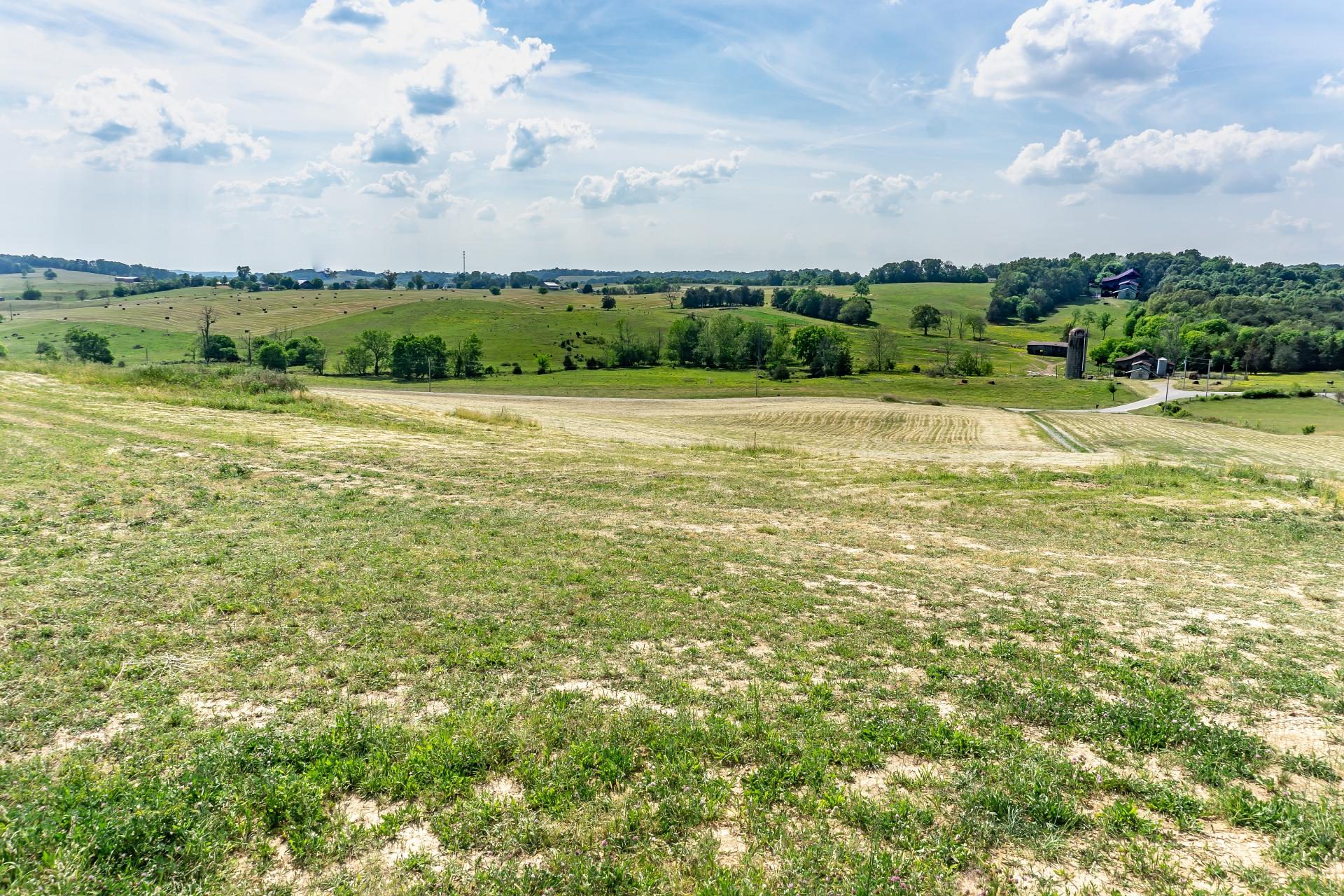 0 Gibson Road Greeneville, TN 37743 - Photo 38 of 41 GibsonRdG_010