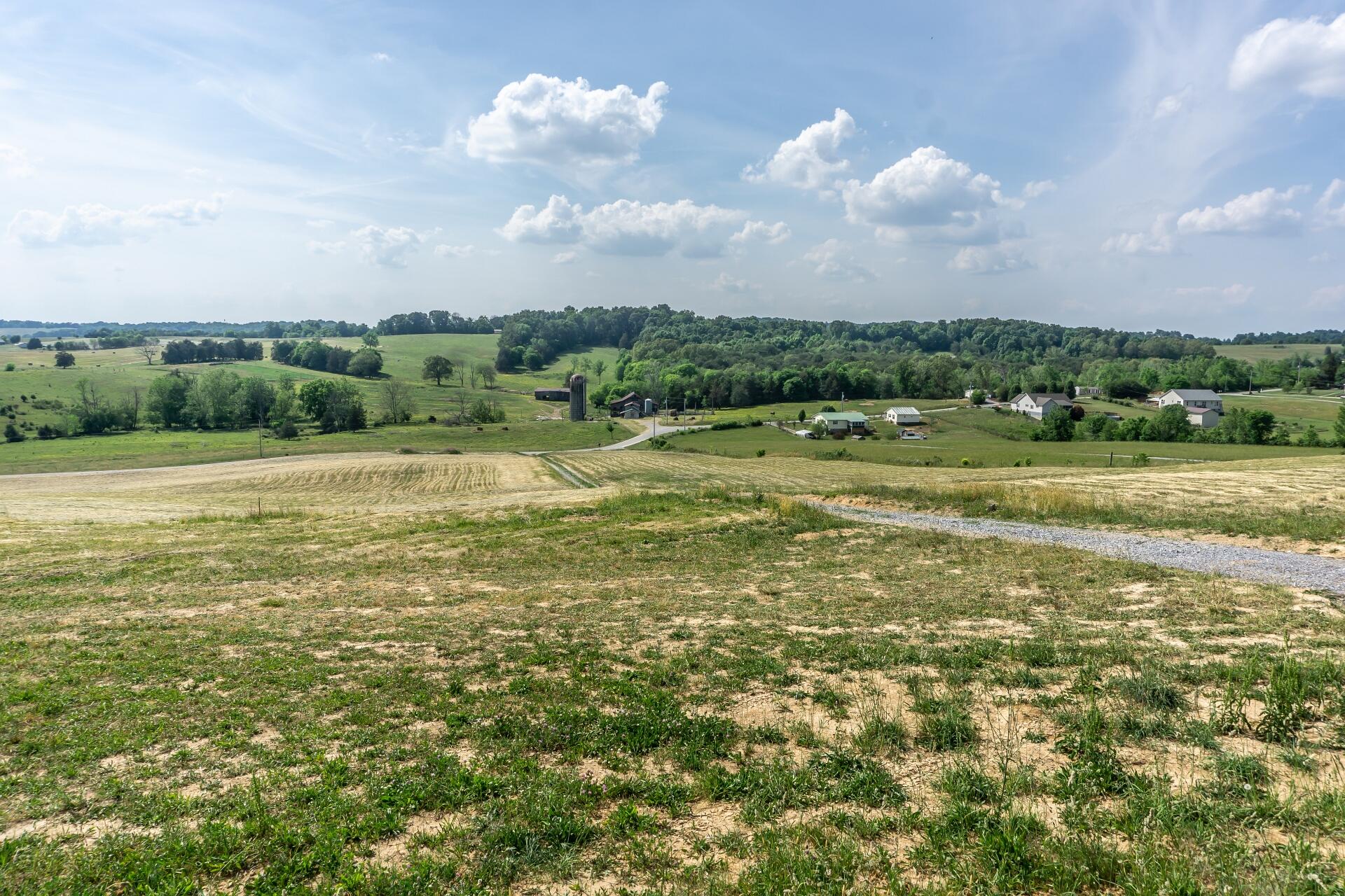 0 Gibson Road Greeneville, TN 37743 - Photo 39 of 41 GibsonRdG_009
