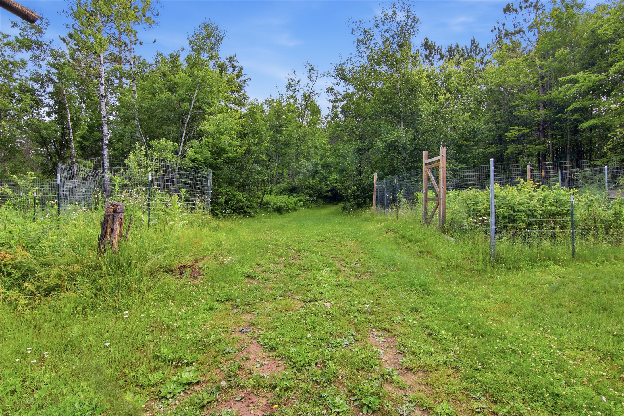 16544 McGraw Road Hayward, WI 54843 - Photo 3 of 37