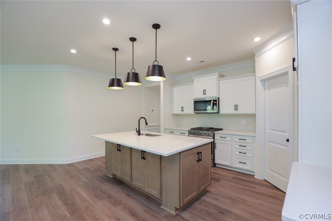 1706 Twin Rivers Court Chester, VA 23836 - Photo 6 of 32 Kitchen with quartz countertops, island, walk-in p