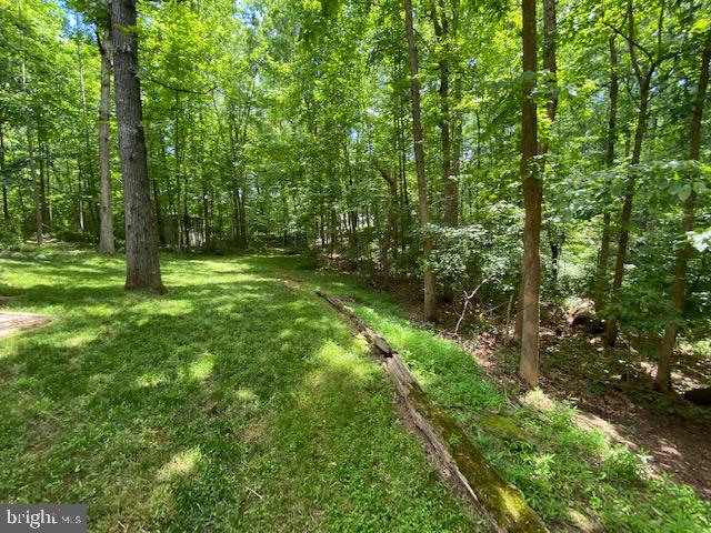 15116 Sheads Mountain Road Rixeyville, VA 22737 - Photo 11 of 40 Trails meandering through woods