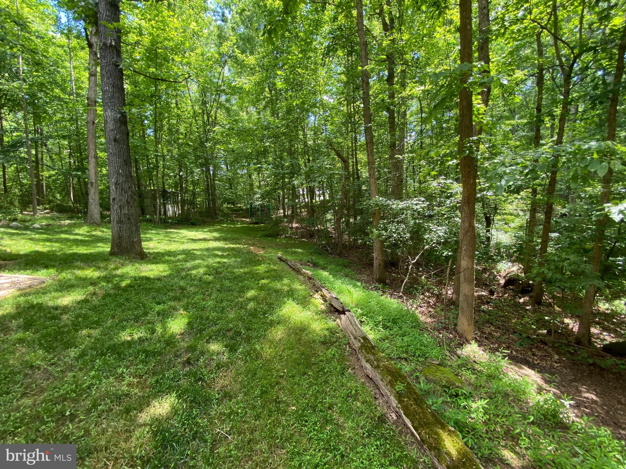 15116 Sheads Mountain Road Rixeyville, VA 22737 - Photo 16 of 40 Nature at its best!