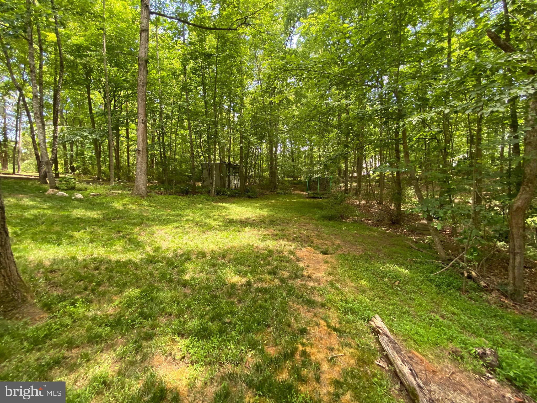 15116 Sheads Mountain Road Rixeyville, VA 22737 - Photo 17 of 40 Trails!