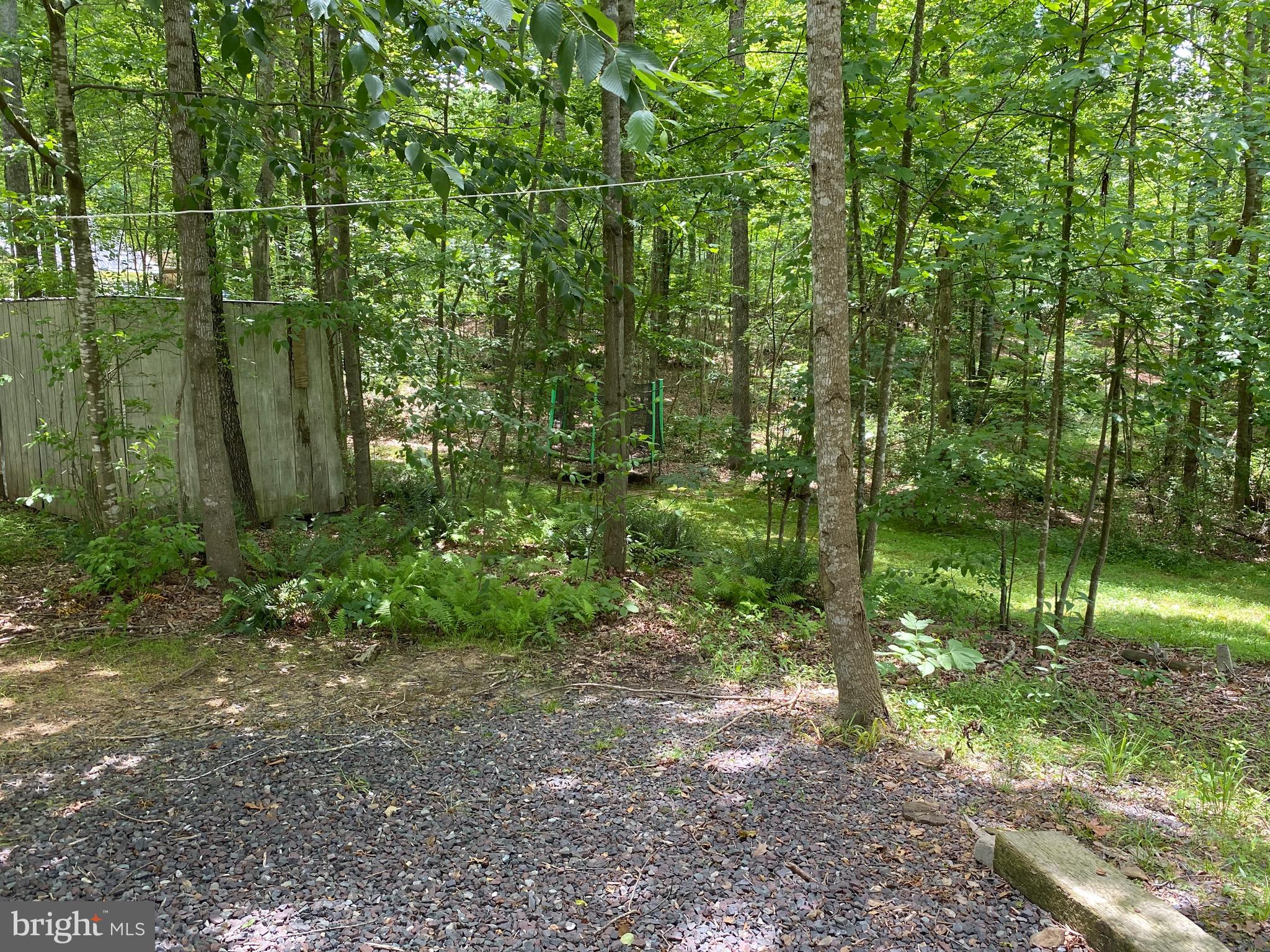 15116 Sheads Mountain Road Rixeyville, VA 22737 - Photo 18 of 40 Plenty of parking soace