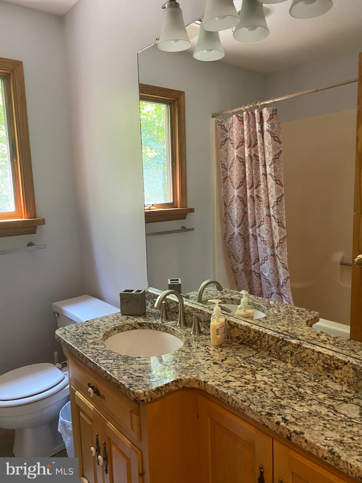 15116 Sheads Mountain Road Rixeyville, VA 22737 - Photo 21 of 40 Full bathroom