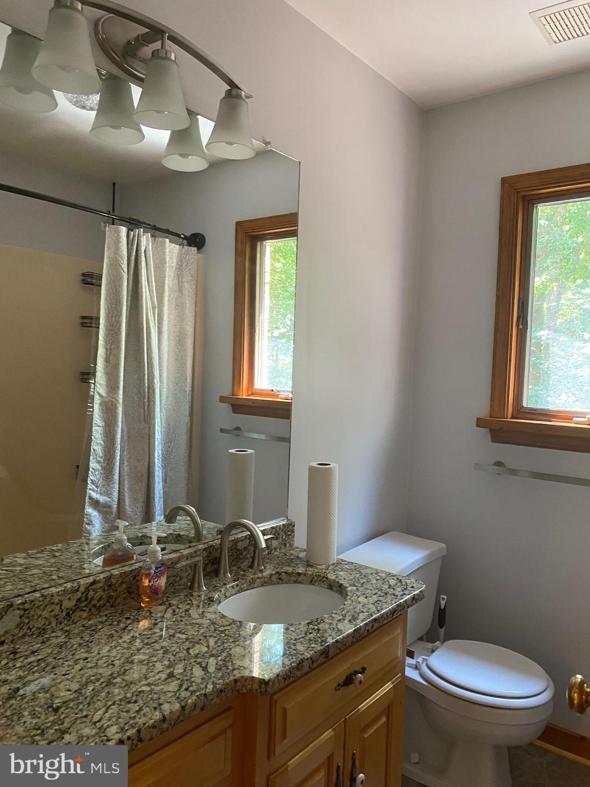 15116 Sheads Mountain Road Rixeyville, VA 22737 - Photo 30 of 40 Full bath
