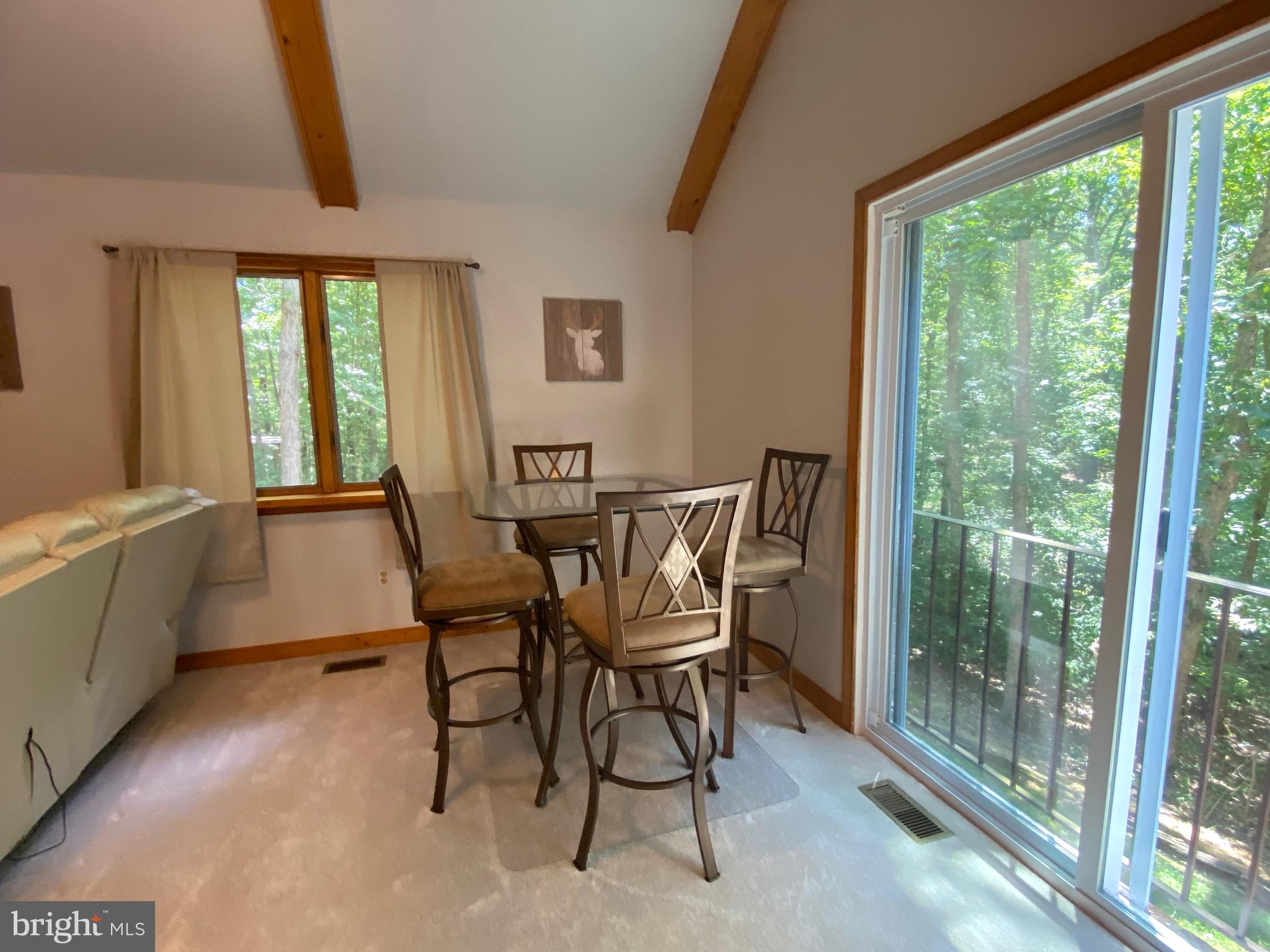 15116 Sheads Mountain Road Rixeyville, VA 22737 - Photo 39 of 40 Bringing the outside in!