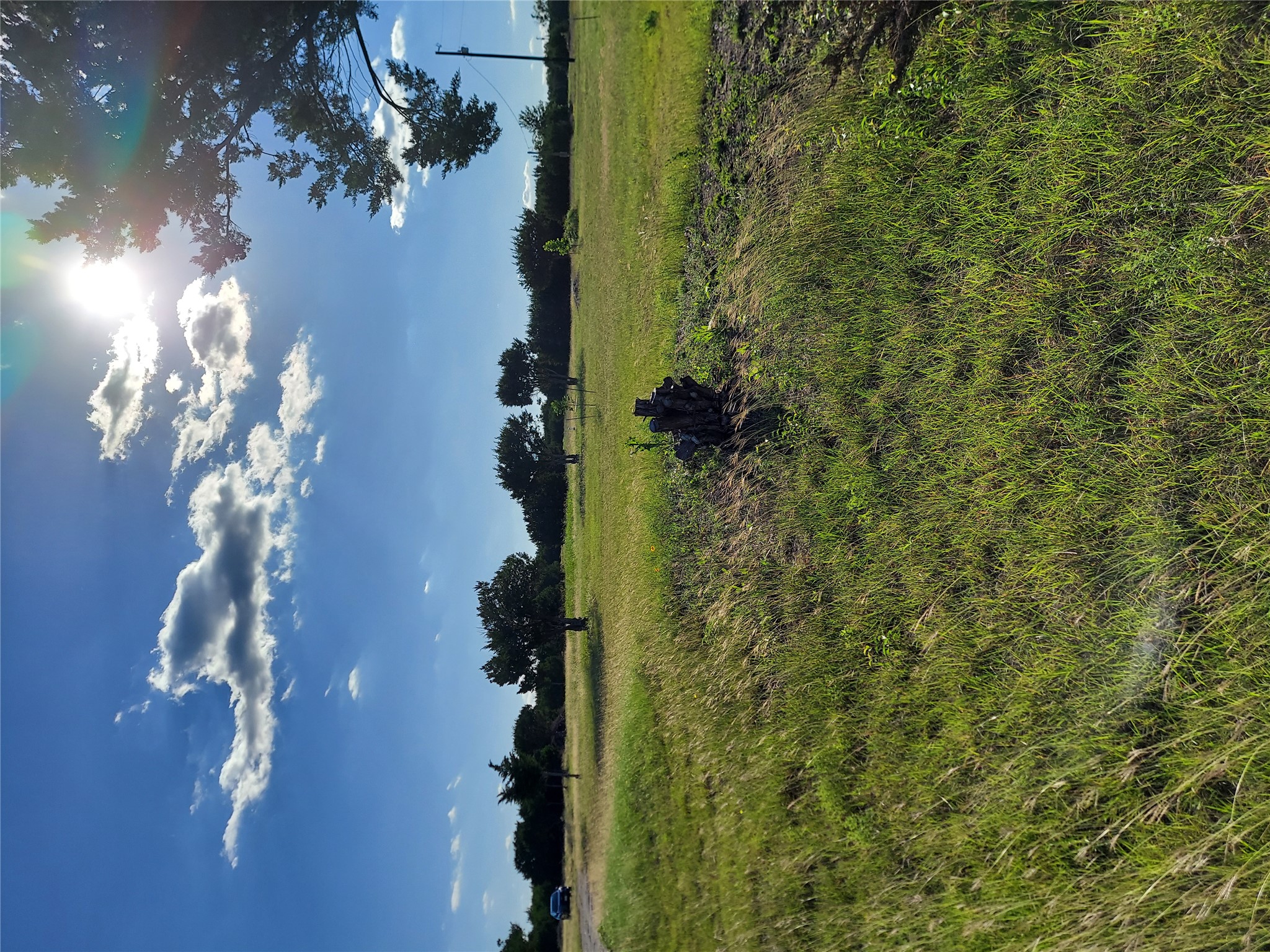 906 County Road 154 Georgetown, TX 78626 - Photo 6 of 11 Expansive verdant field with natural vegetation and scattered mature trees