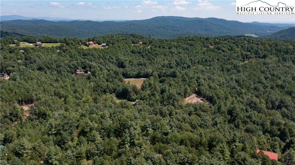 Lot 90 Woodpecker Road Purlear, NC 28665 - Photo 3 of 7 Gallery Image 3