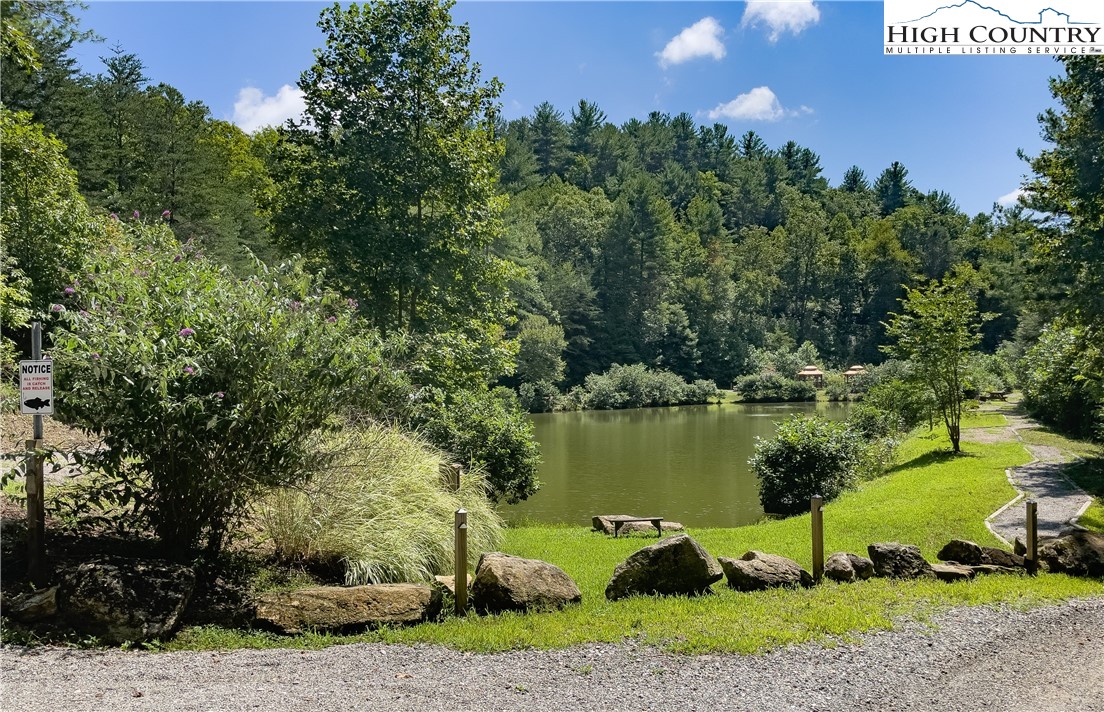 Lot 90 Woodpecker Road Purlear, NC 28665 - Photo 4 of 7 Gallery Image 4