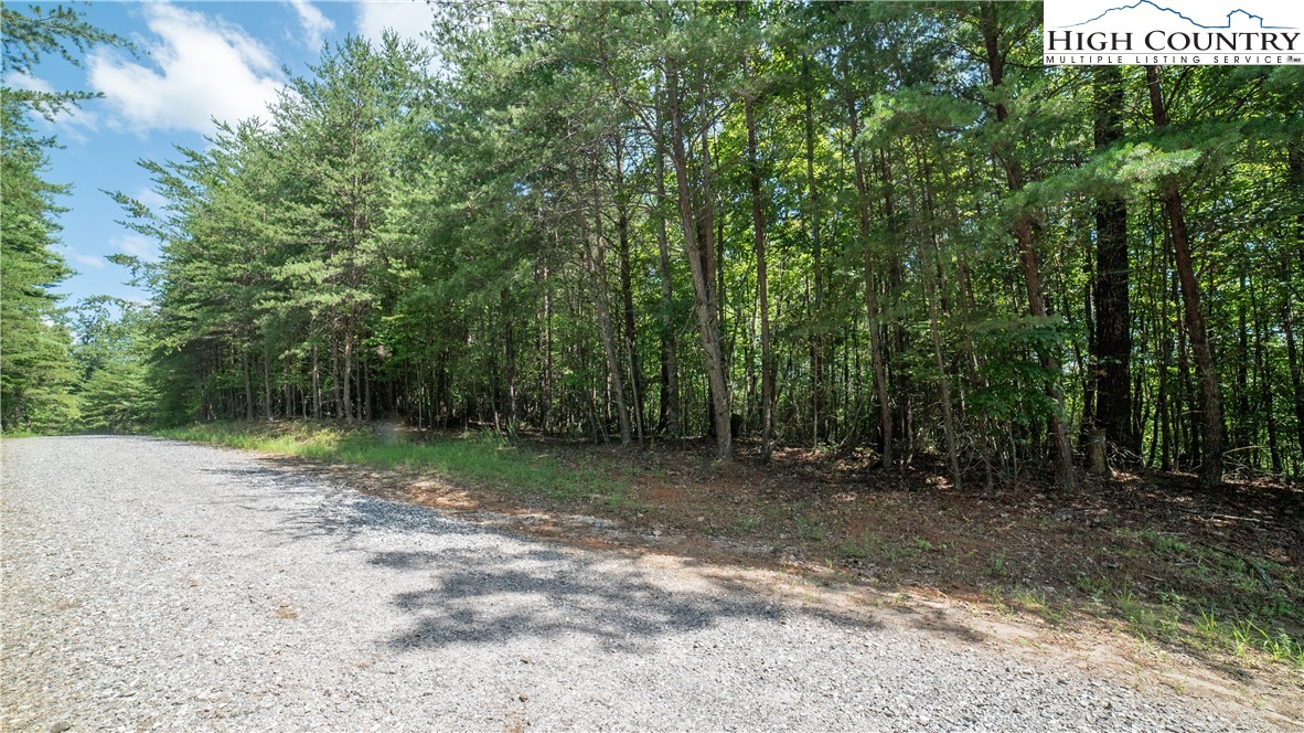 Lot 90 Woodpecker Road Purlear, NC 28665 - Photo 7 of 7 Gallery Image 7