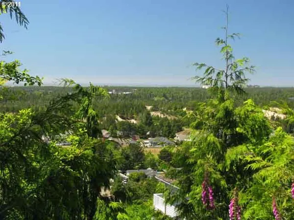 a view of a garden