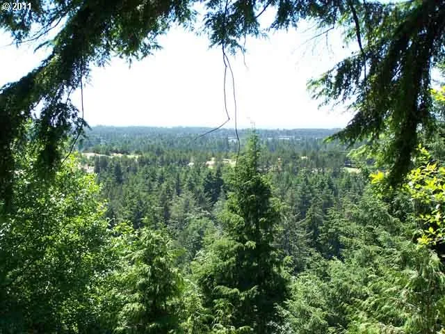 an aerial view of a houses with a tree