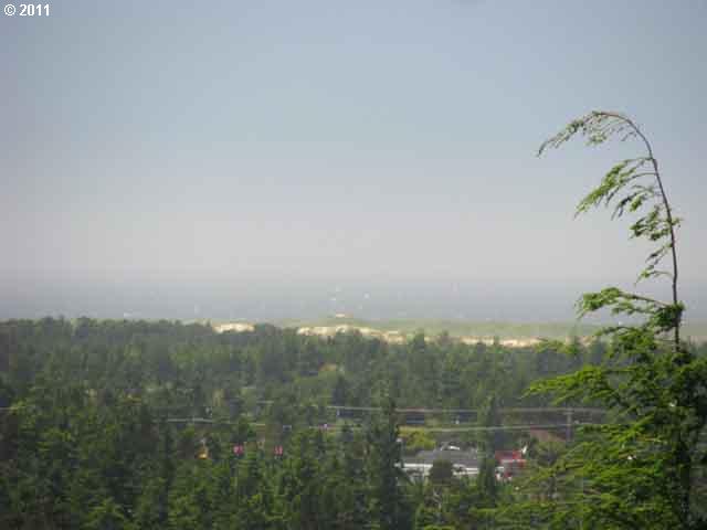 View Drive Florence, OR 97439 - Photo 4 of 7 a view of a city