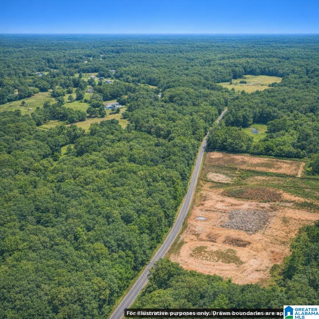 0 Jackson Trace Road Lincoln, AL 35096 - Photo 5 of 7