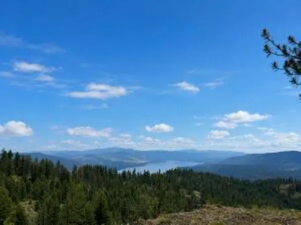 $95,000 | 4-xx #l 4-xx Lane, Inchelium, WA 99138