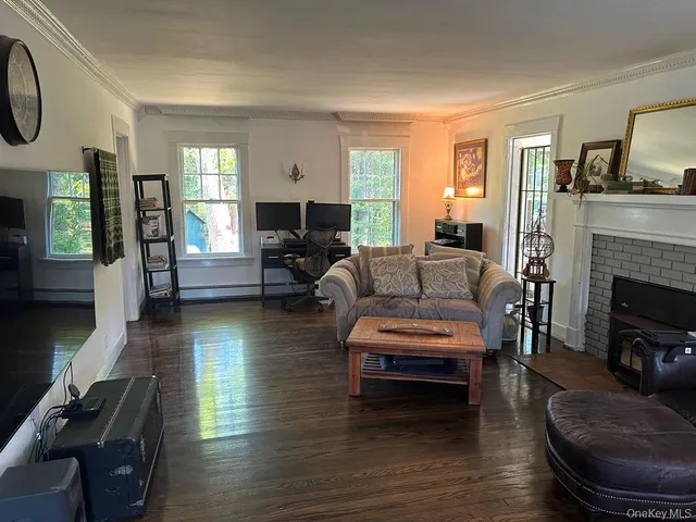 a living room with furniture window and a fireplace